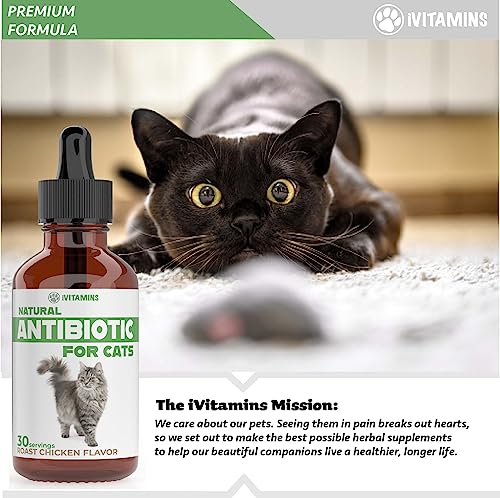 Natural Antibiotics for Cats | Cat Supplements | Cat Antibiotic | Cat Antibiotics | Cat Immune Support | Antibiotic for Cats | Cat Multivitamin | Multivitamin for Cats | 1 Pack: 30 Servings Total - Image 2