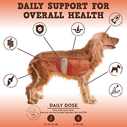 Jack&Pup Dog Vitamins and Supplements Multivitamins for Dogs - Bark Buddies Multi-Buddy Dog Multivitamins Chewable Soft Chews Puppy Vitamins and Supplements - Dog Supplements & Vitamins (60ct) - Image 6