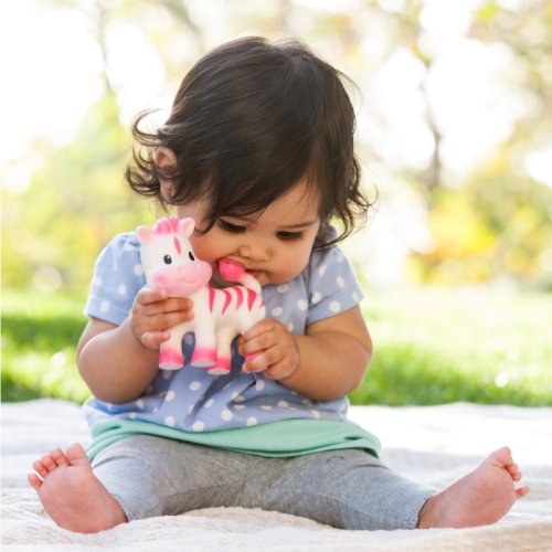 Infantino Teether Toy, Squeeze and TeeThe Zebra - Image 6
