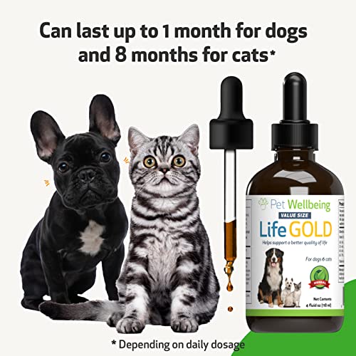 Pet Wellbeing Life Gold for Dogs and Cats - Vet-Formulated - Immune Support and Antioxidant Protection - Natural Herbal Supplement 4 oz (118 ml) - Image 2