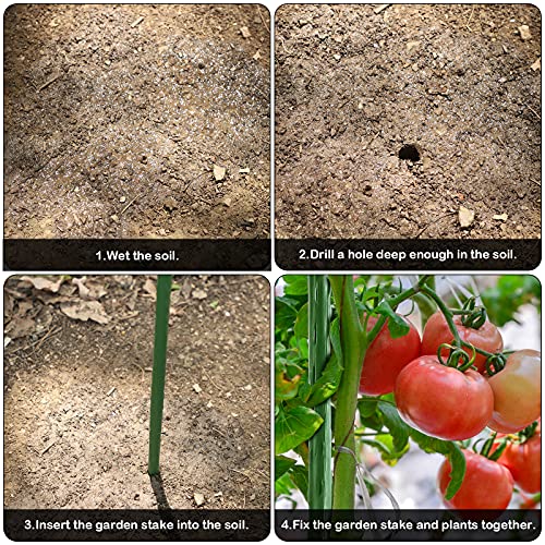 FEED GARDEN Garden Stakes 36 Inch 3ft 25 Pack, Sturdy Plant Metal Sticks Support, Plastic Coated Plant Stakes, Tomato Stakes, Beans, Trees - Image 4