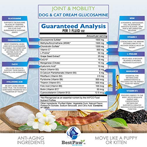 Best Paw Nutrition - Bacon Flavor Liquid Glucosamine for Dogs & Cats - Joint Supplement for Hip & Joint Pain Relief Pets Love - 32oz - Image 5